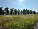 terreno-residenziale-padova-rif-al0356vrg-