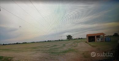 TERRENO AGRICOLO Roncalceci ( RA) ha 4,1210