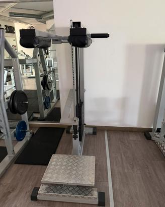 Hack squat /stending calf