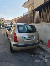Lancia musa