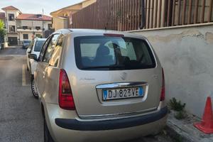Lancia musa