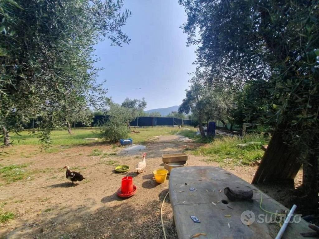 Appartamento – Reggello, Cancelli - Altro