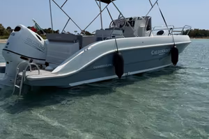 CALION BOATS 21.5 WA