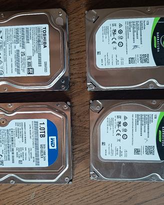 4 hard disk da 1TB ciascuno sata
