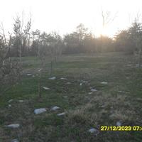 5500 mq - agricolo uliveto