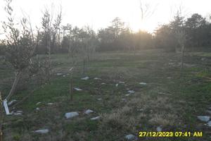 5500 mq - agricolo uliveto