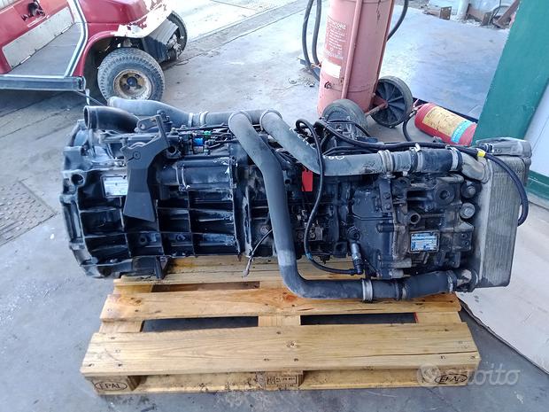 ZF Cambio Ecosplit 4 16 S 2231 TD