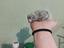 Immagine 2