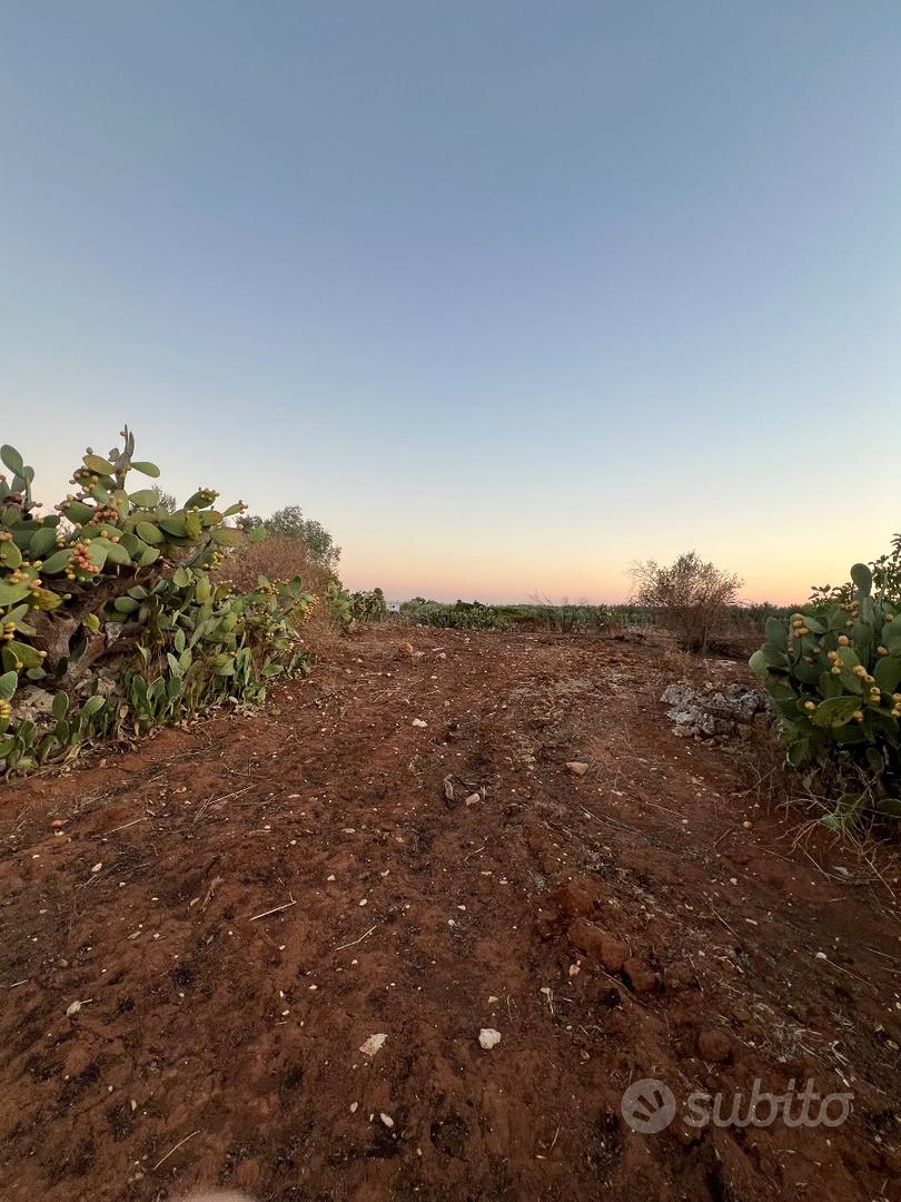 Terreno agricolo 50aree circa 4500 - Altro