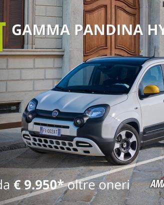 Fiat Panda 1.0 firefly hybrid Pop s&s 70cv