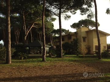 Villa nel parco nazionale