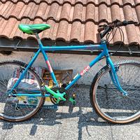 bicicletta Mountain bike 