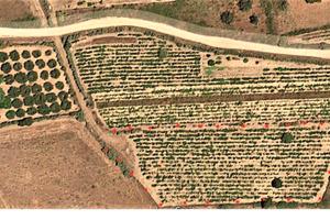 Terreno agricolo