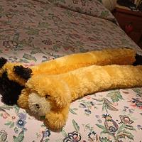 2 paraspifferi "cane" e "gatto"