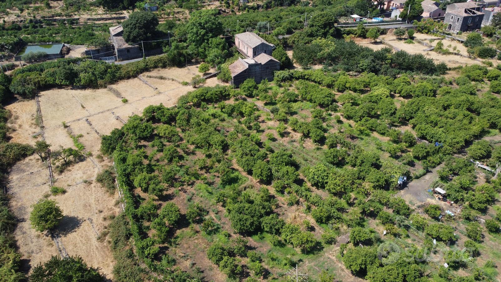 Antica villa indipendente con terreno - Vista 4