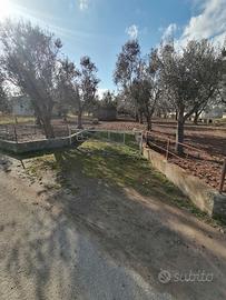 Terreno Agricolo Cutrofiano