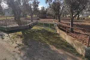Terreno Agricolo Cutrofiano