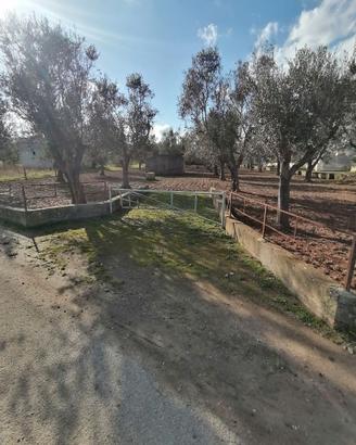 Terreno Agricolo Cutrofiano