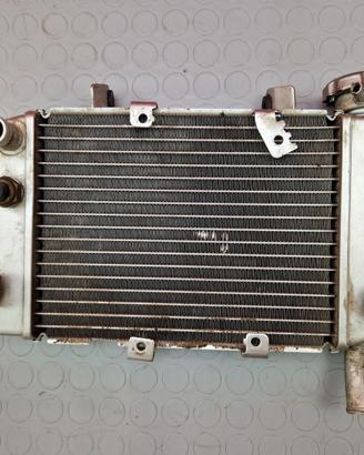 RADIATORE ACQUA BENELLI BN 251 2017 2018 BN251 201