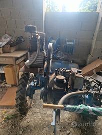 raccogli olive attrezzatura