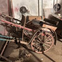 Carrozza per cavalli