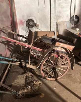 Carrozza per cavalli