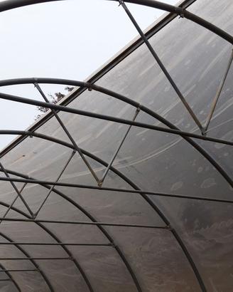 Tunnel agricoli
