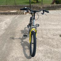 Bici usata