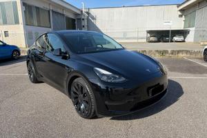 TESLA MODEL Y PERFORMANCE