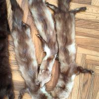 stole varie vera pelliccia