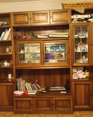 vetrina e libreria 