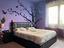 Immagine 18