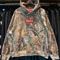 Supreme Box Logo Hooded Sweatshirt (FW25)