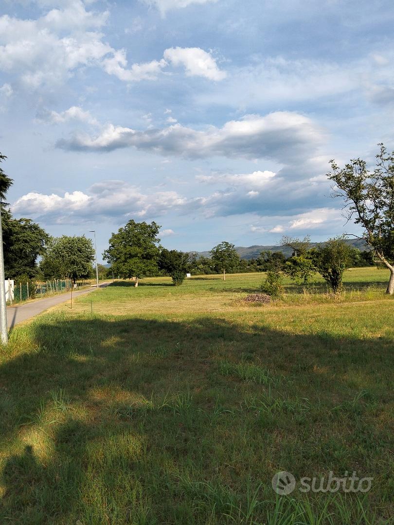 Savogna d'isonzo (go) - Altro