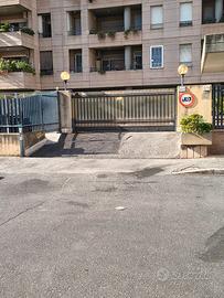 EUR Torrino Box   attualmente non disponibile