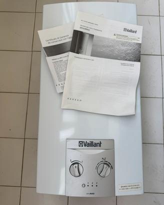 Scaldabagno a gas