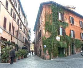 TRASTEVERE - Attività di wine bar
