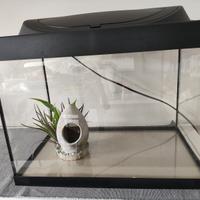 Acquario Tetra 30 L