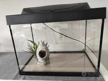 Acquario Tetra 30 L