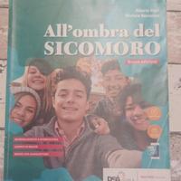 All'ombra del sicomoro  9788839303677