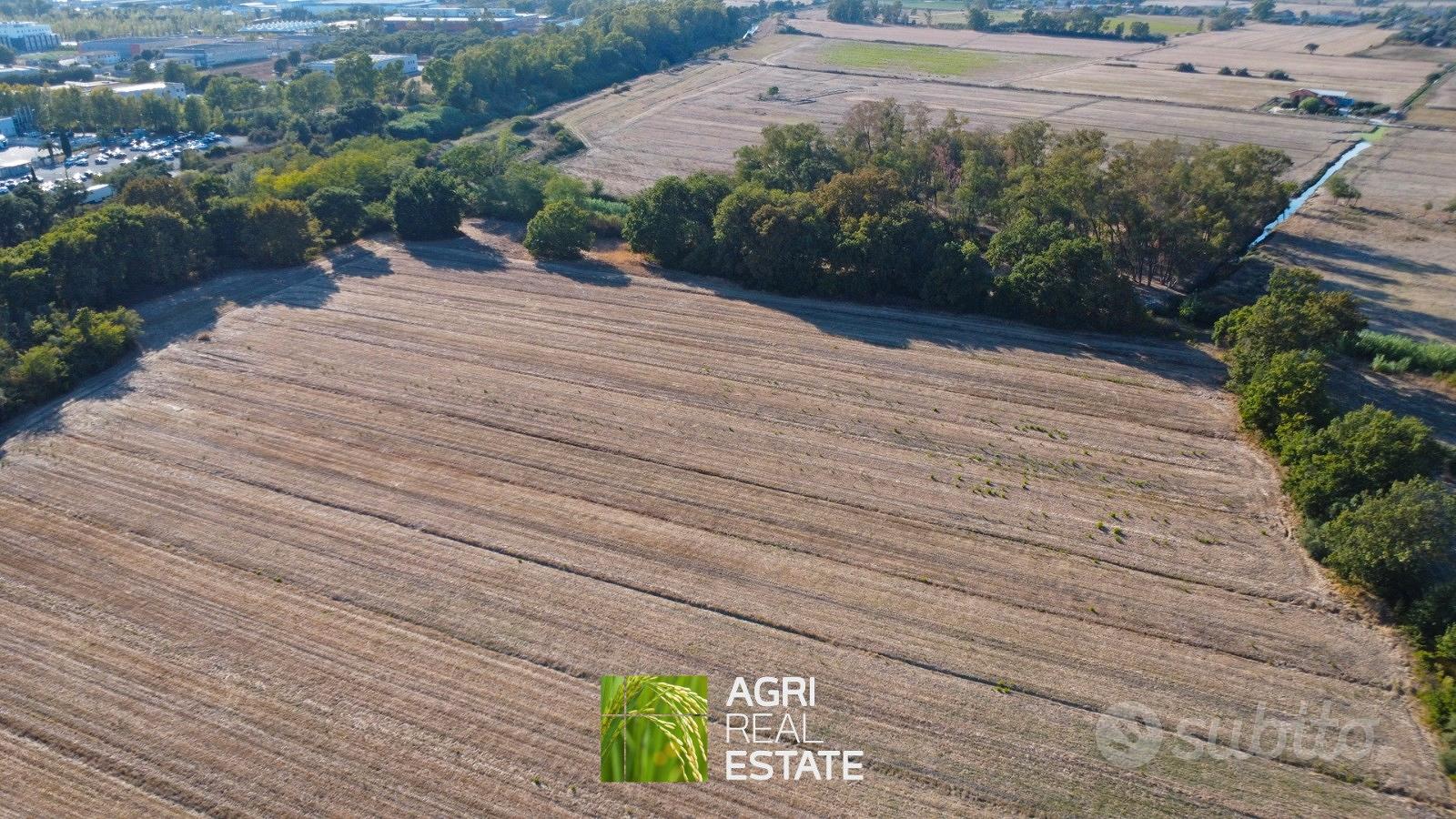 Terreno agricolo 3 ettari per foraggi e zootecnia - Vista 2