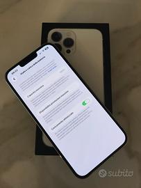 Iphone 13 Pro Max 256 gb