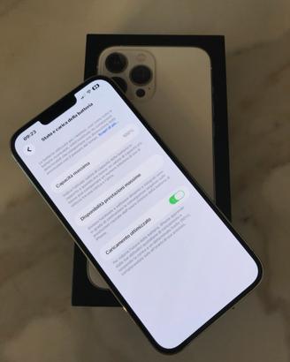 Iphone 13 Pro Max 256 gb