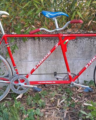 tandem acciaio da corsa 54/53