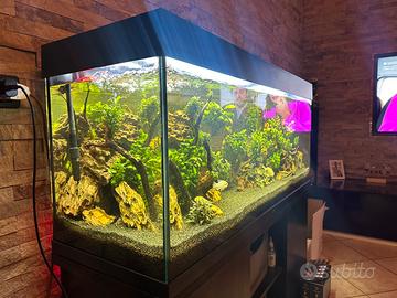 Acquario juwel rio 240 completo