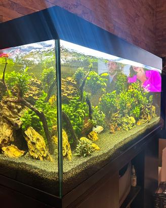 Acquario juwel rio 240 completo