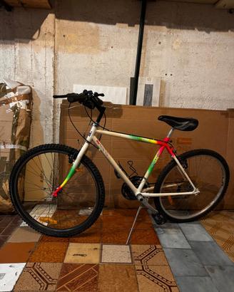 Mtb vintage 