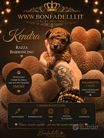 Cucciola barboncino minitoy