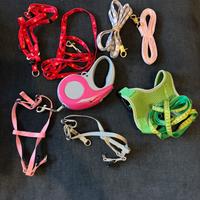 Accessori cagnolino