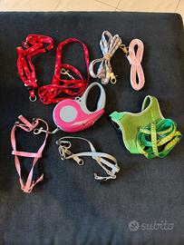 Accessori cagnolino